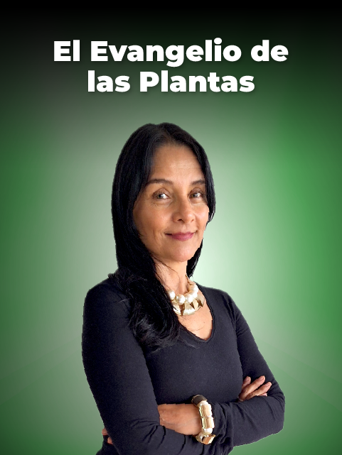 Program