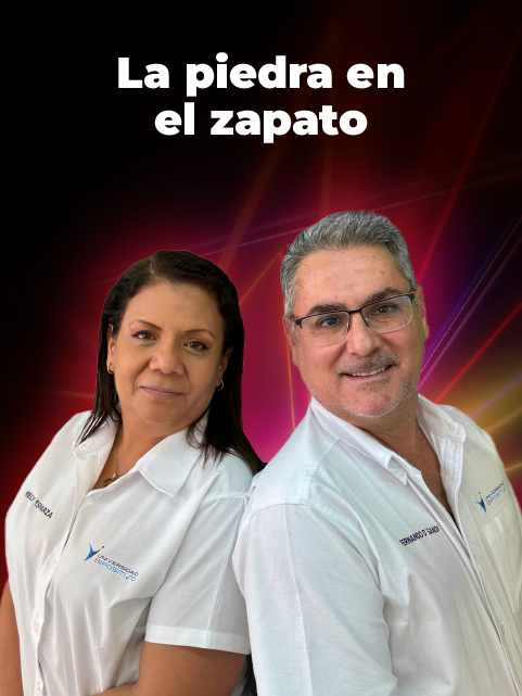 Program